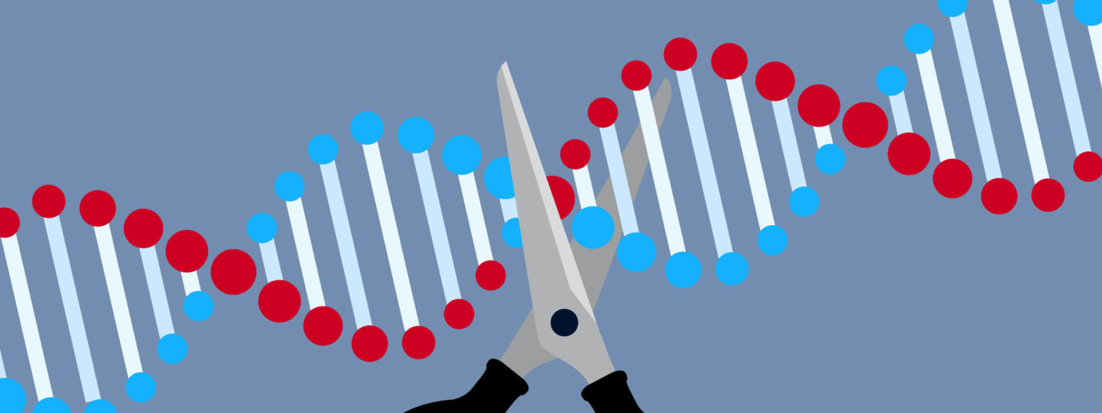 Crispr – gene editing