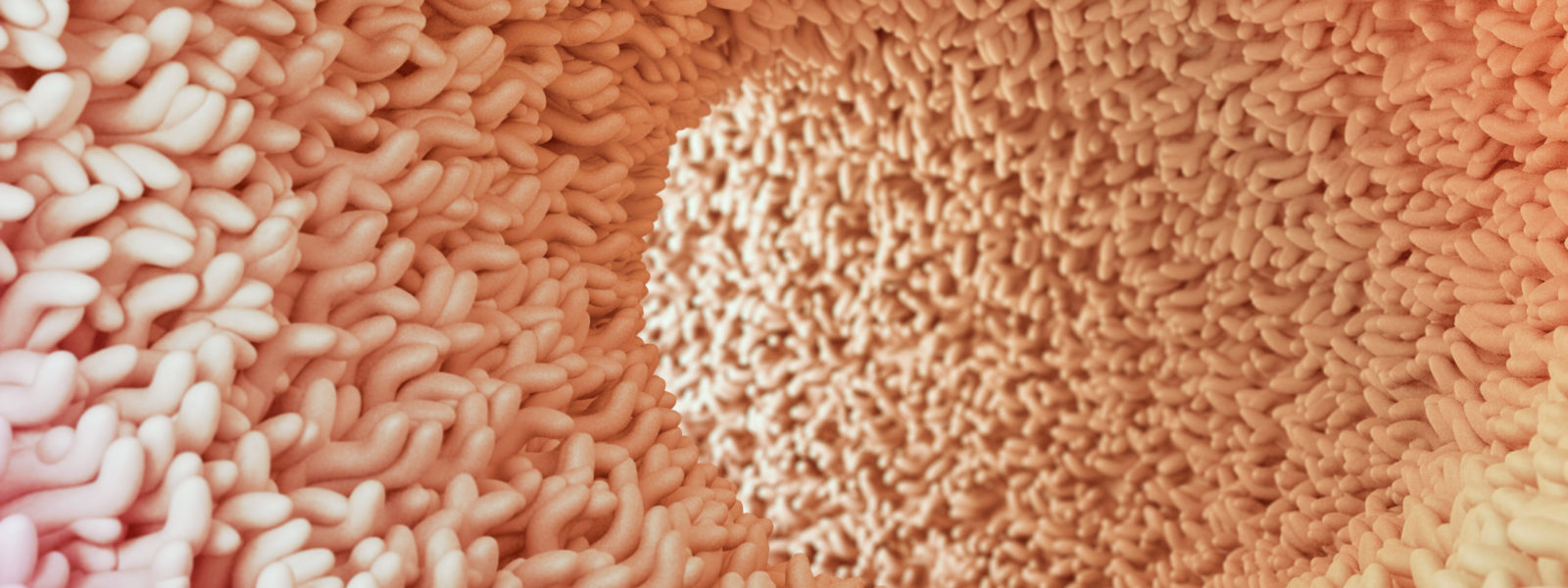 Human microbiome in intestine
