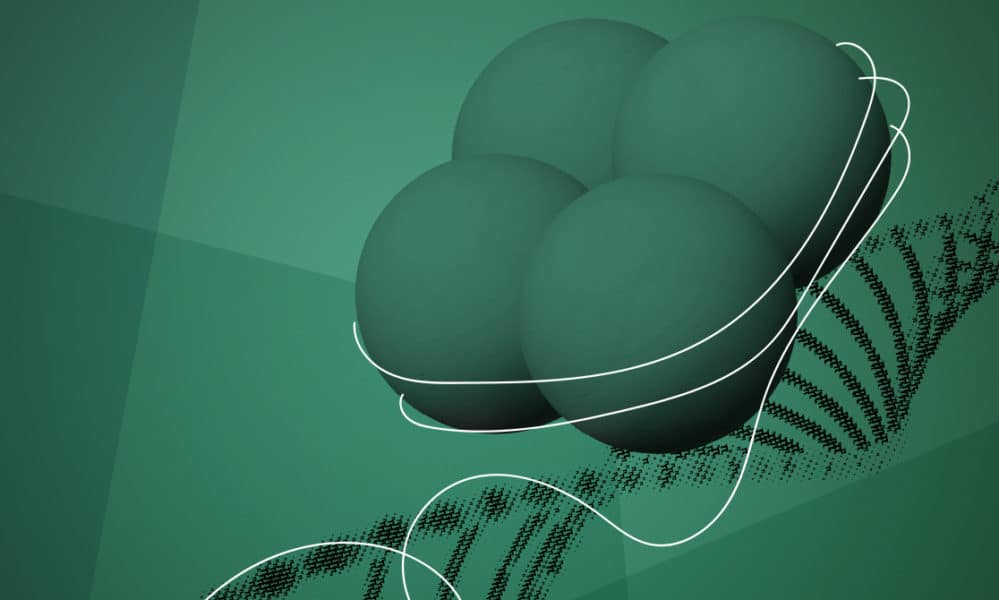 Epigenetics traces DNA