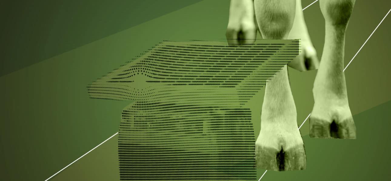 2_livestockSolutionsClimatechange