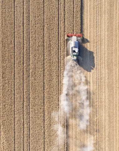 Harvesting a wheat field, dust clouds