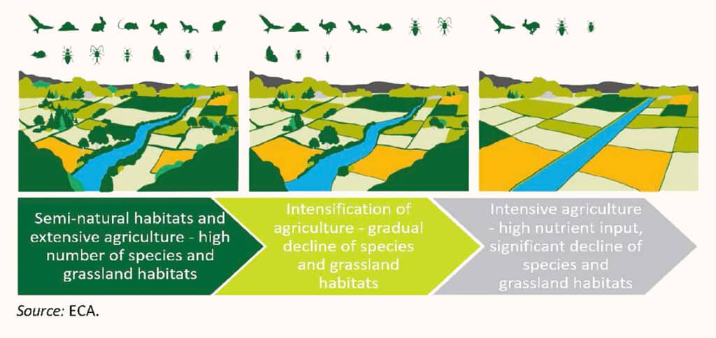 Biodiversité agricole