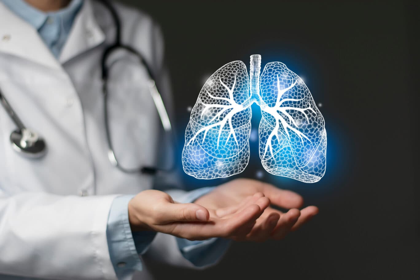 A digital twin of the lungs what benefits for medicine of the future