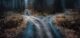 A fork in the road with two paths diverging symbolizing a decision point between different options. Concept Decision Making, Fork in the Road, Diverging Paths, Choices, Crossroads