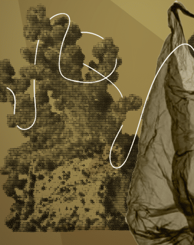 6_pollutionPlastique