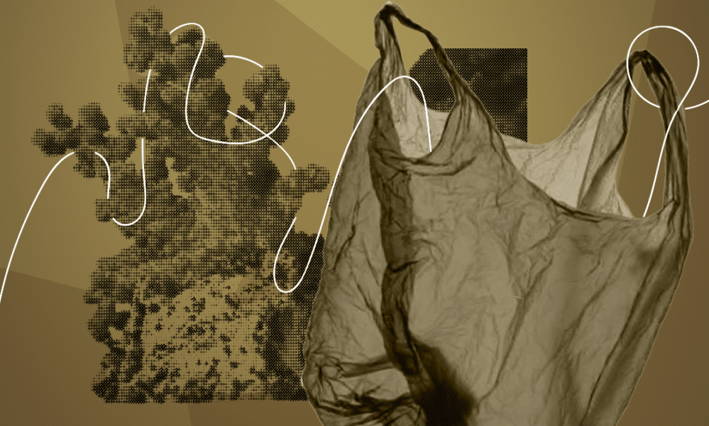 6_pollutionPlastique