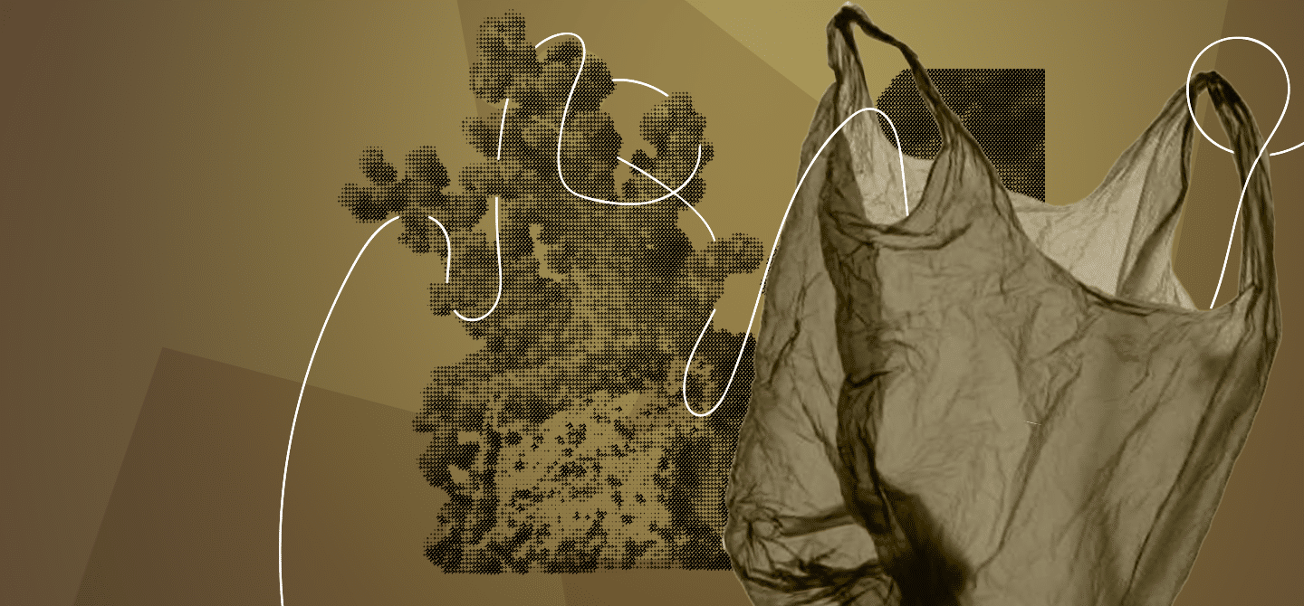 6_pollutionPlastique