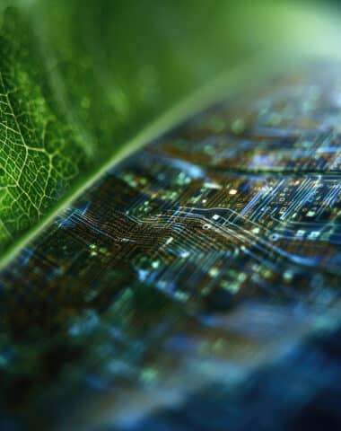 Soft macro view of leaf transforming into digital material, organic technology integration, nature meets innovation, abstract futuristic botanical visualization