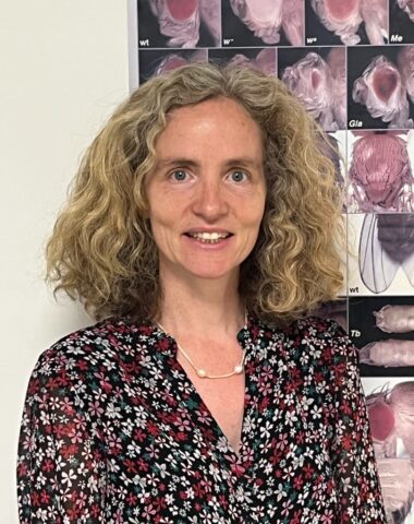 Virginie Courtier-Orgogozo_VF