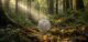 Silver coin featuring fern and bird design rests forest floor surrounded by lush greenery and soft sunlight filtering through trees, evoking sense